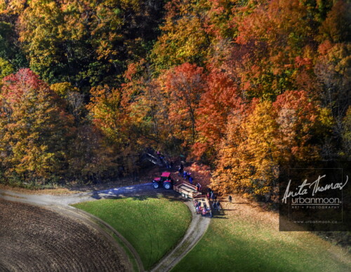 Nature photography - Aerial photography of an autumn tractor ride in Dundas, Ontario
© Anita Thomas - Urbanmoon. All Rights Reserved. aerial photography of an autumn tractor ride