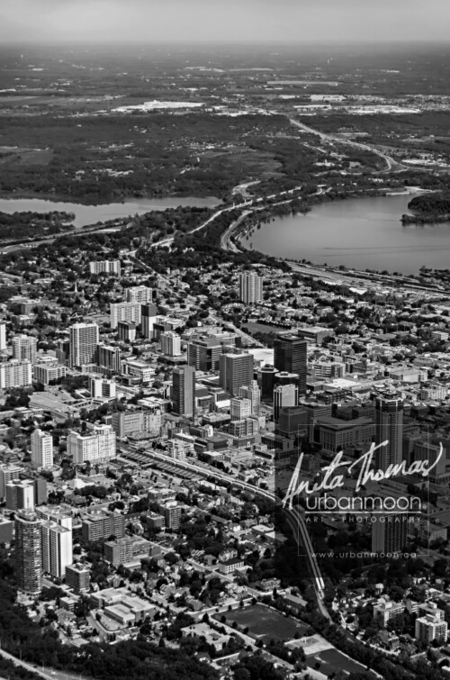 Aerial photography - Downtown looking toward Coote's Paradise and Highway 402 in Hamilton, Ontario
© Anita Thomas - Urbanmoon. All Rights Reserved. aerial photography of hamilton ontario