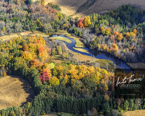 Aerial photography - Hamilton, Ontario
© Anita Thomas - Urbanmoon. All Rights Reserved. aerial photography of nature in hamilton