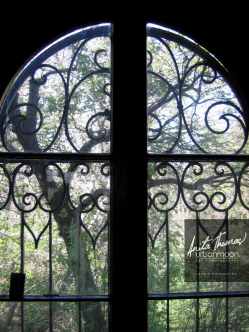 Auchmar Estate, Hamilton, Ontario, Canada
© Anita Thomas - Urbanmoon. All Rights Reserved. auchmar estate hamilton