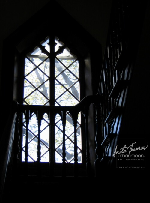 Auchmar Estate, Hamilton, Ontario, Canada
© Anita Thomas - Urbanmoon. All Rights Reserved. auchmar estate hamilton