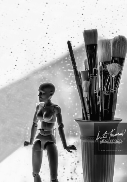 Black and white photography - Artist brushes are backlit against a window in winter covered with melting snow and droplets.
© Anita Thomas - Urbanmoon. All Rights Reserved. backlit artist brushes