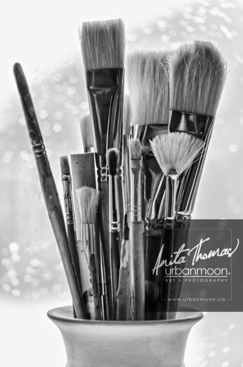 Black and white photography - Artist brushes are backlit against a window in winter covered with melting snow and droplets.
© Anita Thomas - Urbanmoon. All Rights Reserved. backlit artist brushes