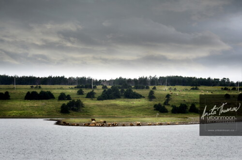 Landscape photography - Cheticamp, Nova Scotia
(C)Anita Thomas All Rights Reserved. cheticamp