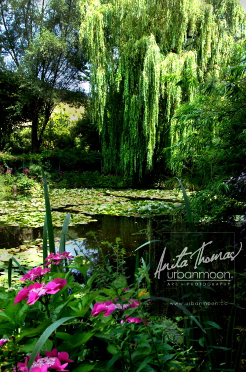 Landscape photography - The gardens of Claude Monet in Giverny, France
(C)Anita Thomas All Rights Reserved. claude monet gardens