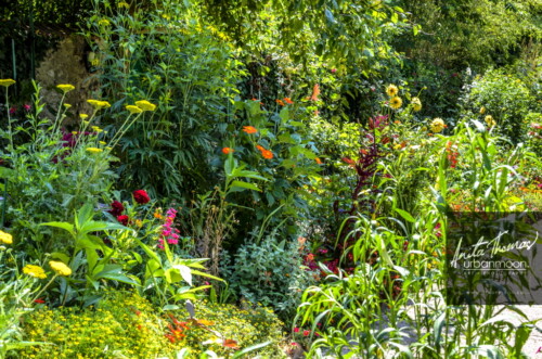 Landscape photography - The gardens of Claude Monet in Giverny, France
(C)Anita Thomas All Rights Reserved. claude monet gardens