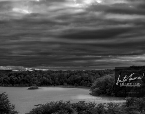 Black and white photography - Cootes Paradise at dusk.
© Anita Thomas - Urbanmoon. All Rights Reserved. cootes paradise at dusk
