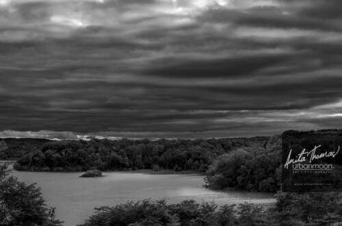 Nature photography - Cootes Paradise, Hamilton, Ontario
© Anita Thomas - Urbanmoon. All Rights Reserved. cootes paradise at sunset hamilton