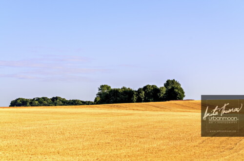 Landscape photography - Crop fields in France
(C)Anita Thomas All Rights Reserved. crop fields