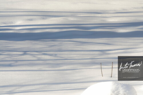 Landscape photography - Extreme Winter Reveals Simplicity. The deeper we are buried, the more simplistic our landscape becomes. My favourite teasels in the field have but the top portions of their stalks showing.
© Anita Thomas - Urbanmoon Photography. All Rights Reserved. deep snow in a field