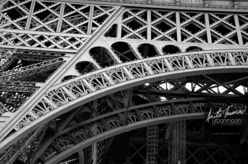 Urban photography - Paris, France
© Anita Thomas - Urbanmoon Photography. All Rights Reserved. eiffel tower