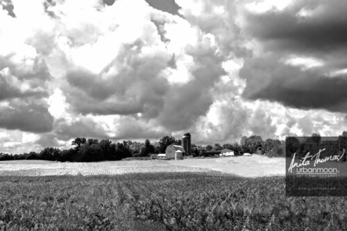 Black and white photography - Big sky over a farm in rural upstate New York.
© Anita Thomas - Urbanmoon. All Rights Reserved. farm in rural upstate new york