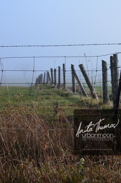 Landscape photography - Farmer's field in rural Ontario
(C)Anita Thomas All Rights Reserved. farmer field