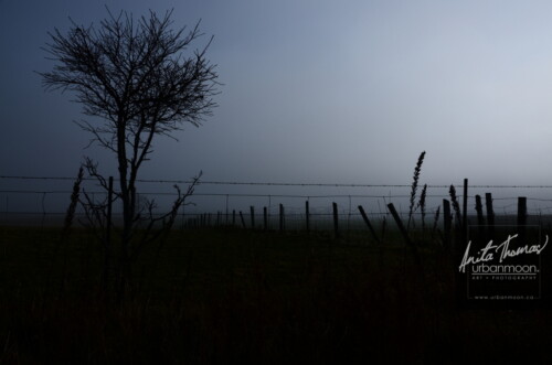 Landscape photography - Farmer's field in rural Ontario
(C)Anita Thomas All Rights Reserved. farmer field