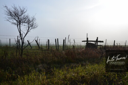 Landscape photography - Farmer's field in rural Ontario
(C)Anita Thomas All Rights Reserved. farmer field