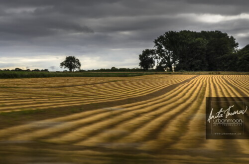 Landscape photography - Fields in France
(C)Anita Thomas All Rights Reserved. fields in france
