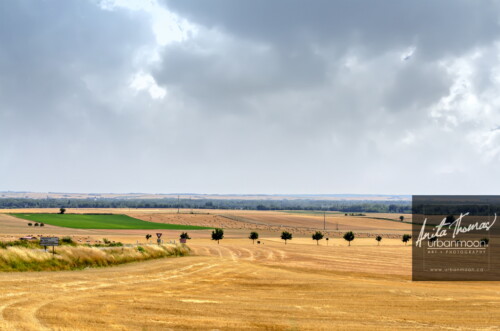Landscape photography - Fields in rural France
(C)Anita Thomas All Rights Reserved. fields in france