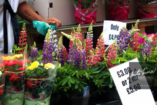 Urban photography - London, England
© Anita Thomas - Urbanmoon Photography. All Rights Reserved. flower market in london england