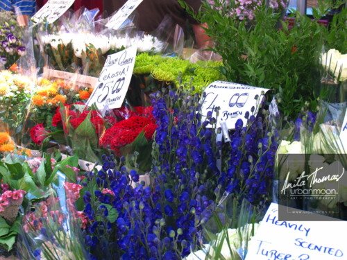 Urban photography - Flower market in London, England
© Anita Thomas - Urbanmoon Photography. All Rights Reserved. flower market in london england