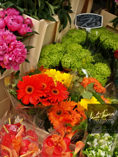 Urban photography - Flower market in London, England
© Anita Thomas - Urbanmoon Photography. All Rights Reserved. flower market in london england