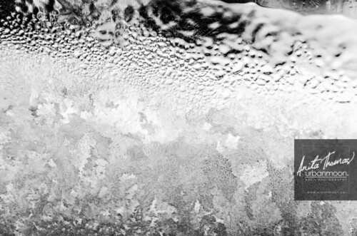 Black and white photography - Frost on a window
© Anita Thomas - Urbanmoon. All Rights Reserved. frost on a window