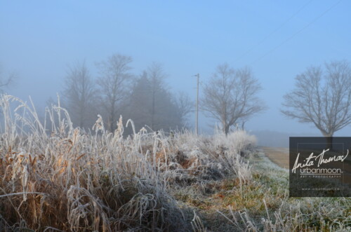 Landscape photography - Frosted covers the grasses in a farmer's field, as the mist of an early morning hangs in the distance.
(C)Anita Thomas All Rights Reserved. frosty field