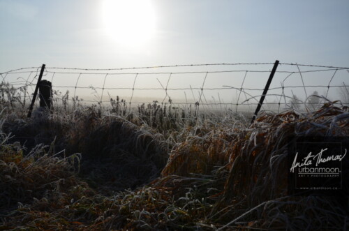 Landscape photography - Frost covering the grasses and a barbed wire fence slowly melts as the sun of a warm day starts to emerge.
(C)Anita Thomas All Rights Reserved. frosty field