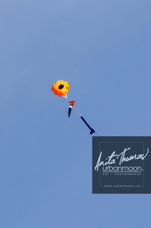 Lifestyle photography - DLRS 34, high-powered rocketry competition hosted by URRG in Potter, New York, United States.
© Anita Thomas - Urbanmoon Photography. All Rights Reserved. high powered rocketry