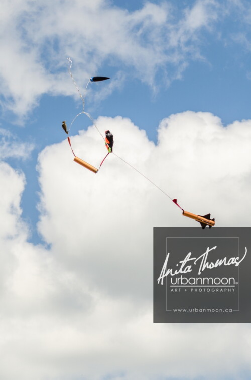 Lifestyle photography - DLRS 34, high-powered rocketry competition hosted by URRG in Potter, New York, United States.
© Anita Thomas - Urbanmoon Photography. All Rights Reserved. high powered rocketry