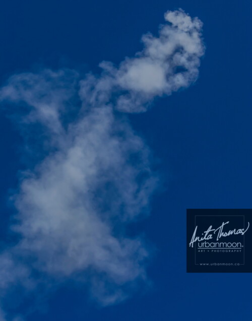 Lifestyle photography - URRF, high-powered rocketry competition hosted by URRG in Potter, New York, United States.
© Anita Thomas - Urbanmoon Photography. All Rights Reserved. high powered rocketry