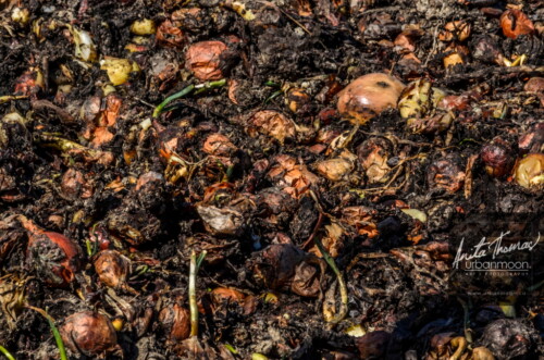 Lifestyle photography - It'll be the year we shared space with the disastrous outcome of a terrible storm and the wiping out of a whole crop of onions. URRF, high-powered rocketry competition hosted by URRG in Potter, New York, United States.
© Anita Thomas - Urbanmoon Photography. All Rights Reserved. high powered rocketry