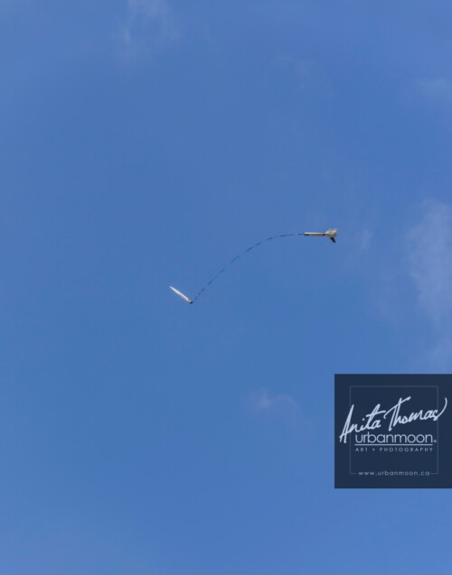 Lifestyle photography - ...and down she comes with no parachute in sight...
URRF, high-powered rocketry competition hosted by URRG in Potter, New York, United States.
© Anita Thomas - Urbanmoon Photography. All Rights Reserved. high powered rocketry