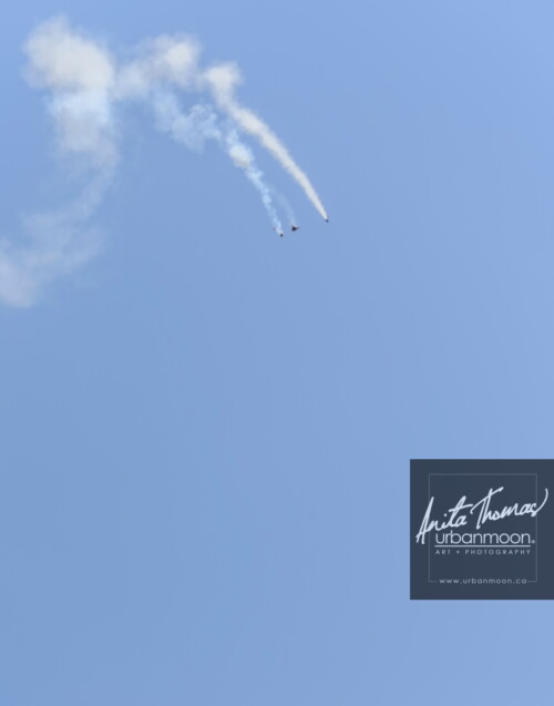 Lifestyle photography - Coming down in pieces.
URRF, high-powered rocketry competition hosted by URRG in Potter, New York, United States.
© Anita Thomas - Urbanmoon Photography. All Rights Reserved. high powered rocketry