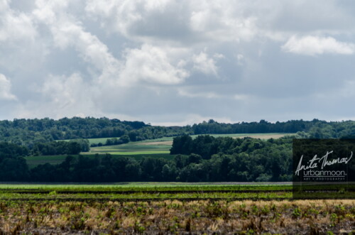 Lifestyle photography - DLRS 34, high-powered rocketry competition hosted by URRG in Potter, New York, United States.
© Anita Thomas - Urbanmoon Photography. All Rights Reserved. high powered rocketry