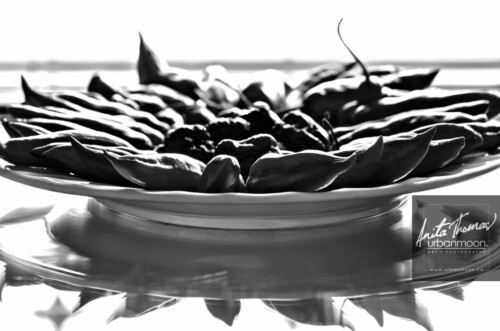 Black and white photography - Hot peppers ripen on a plate in sunshine from a window.
© Anita Thomas - Urbanmoon. All Rights Reserved. hot peppers ripen on a plate