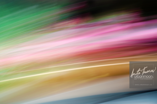 icm intentional camera movement