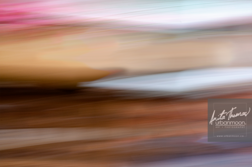 icm intentional camera movement