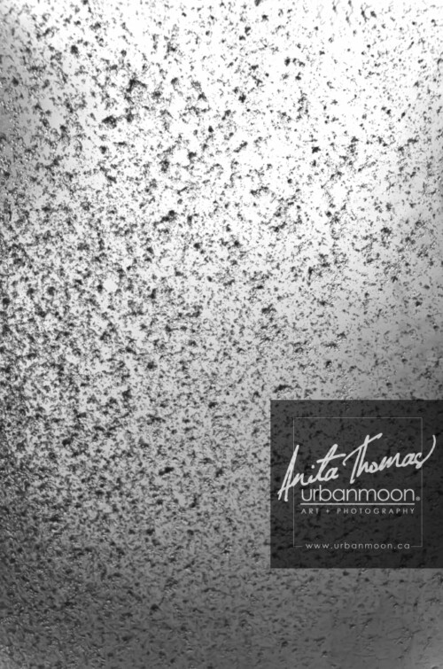 Black and white photography - A window textured with ice and snow.
© Anita Thomas - Urbanmoon. All Rights Reserved. icy window in winter