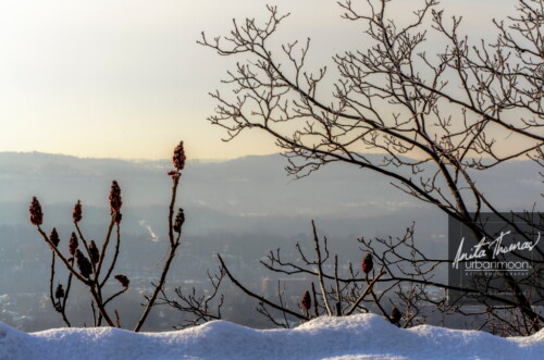 Nature photography - Lookout from Dundas over Hamilton, Ontario in winter
© Anita Thomas - Urbanmoon. All Rights Reserved. lookout from dundas over hamilton