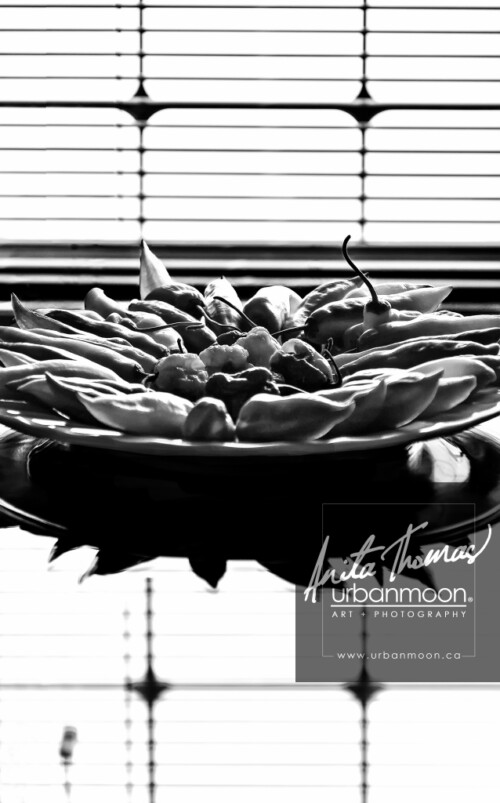Black and white photography - Peppers on a plate reflect on a glass table.
© Anita Thomas - Urbanmoon. All Rights Reserved. peppers on a plate