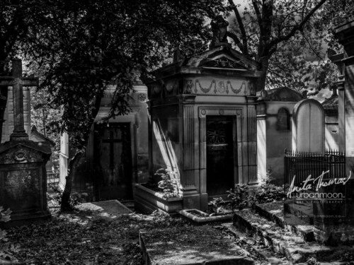 In this city of graves there are many beautiful family crypts where loved ones are buried. This, a most famous of graveyards, in the middle of Paris, is Père Lachaise Cemetery. 
© Anita Thomas - Urbanmoon. All Rights Reserved. pere lachaise cemetery in paris france