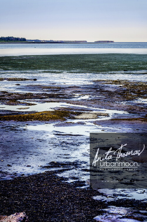 Landscape photography - Port Elgin, New Brunswick
(C)Anita Thomas All Rights Reserved. port elgin nb