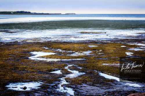 Landscape photography - Port Elgin, New Brunswick
(C)Anita Thomas All Rights Reserved. port elgin nb