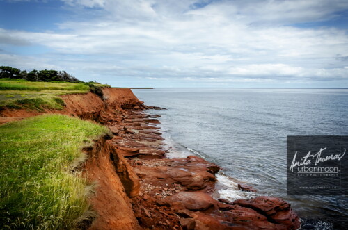 Landscape photography - Prince Edward Island
(C)Anita Thomas All Rights Reserved. prince edward island