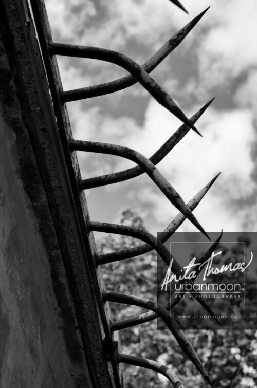 Urban photography - Paris, France
© Anita Thomas - Urbanmoon Photography. All Rights Reserved. protection for the dead