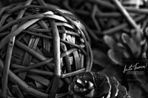 Black and white photography - Rattan balls and pine cones catch some light.
© Anita Thomas - Urbanmoon. All Rights Reserved. rattan balls and pine cones