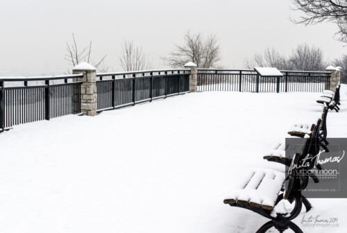 Nature photography - Nature in the city. The lookout from Sam Lawrence Park in Hamilton, Ontario is empty this morning. A fresh layer of snow paints the scene so pretty and peaceful as the city 330 ft down the escarpment bustles in its early morning rush.
© Anita Thomas - Urbanmoon. All Rights Reserved. sam lawrence park in winter