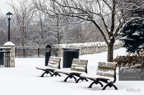 Nature photography - Nature in the city. The lookout from Sam Lawrence Park in Hamilton, Ontario is empty this morning. A fresh layer of snow paints the scene so pretty and peaceful as the city 330 ft down the escarpment bustles in its early morning rush.
© Anita Thomas - Urbanmoon. All Rights Reserved. sam lawrence park in winter