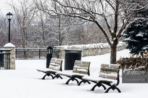 Landscape photography - Sam Lawrence Park in Hamilton, Ontario during the winter is a beautiful spot to spend time overlooking the city from the escarpment edge.
© Anita Thomas - Urbanmoon Photography. All Rights Reserved. sam lawrence park in winter