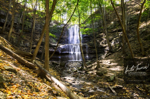 Landscape photography - Sherman Falls
(C)Anita Thomas All Rights Reserved. sherman falls